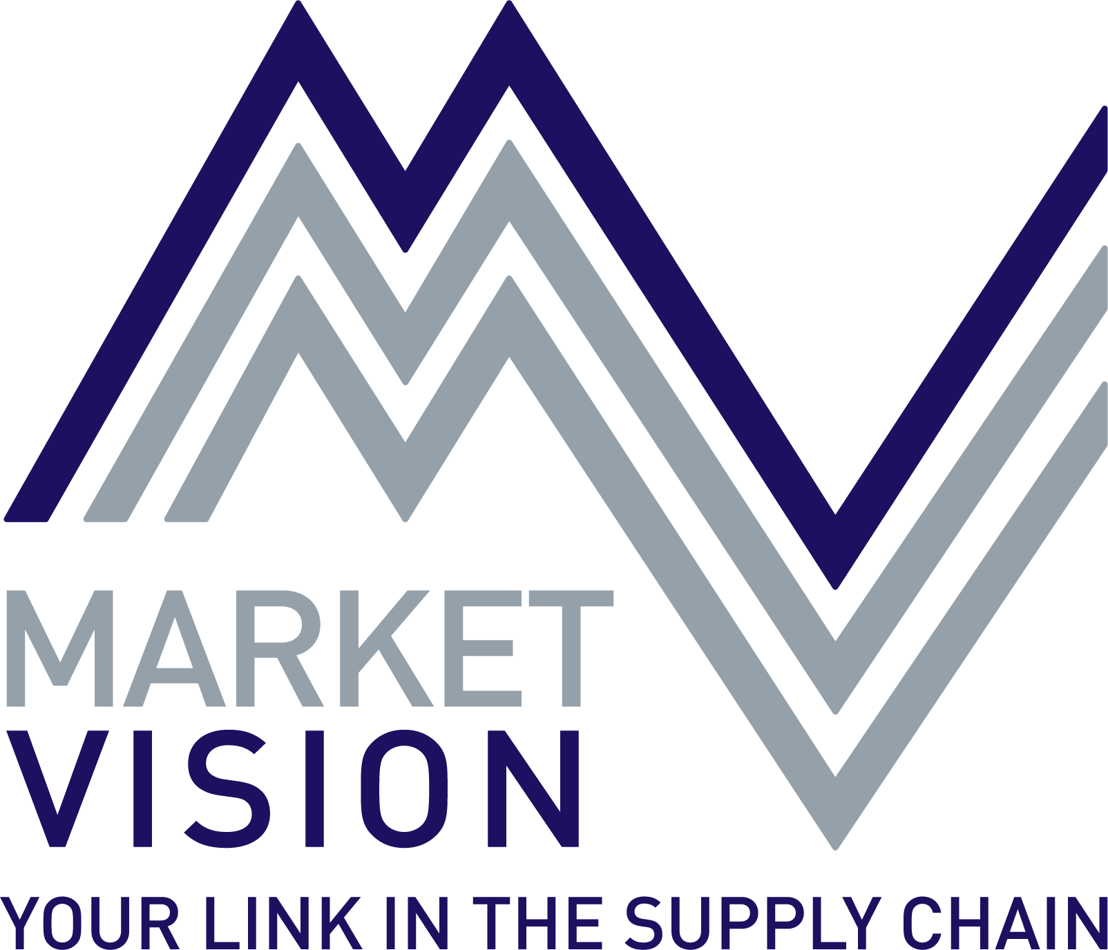 Market Vision Logo