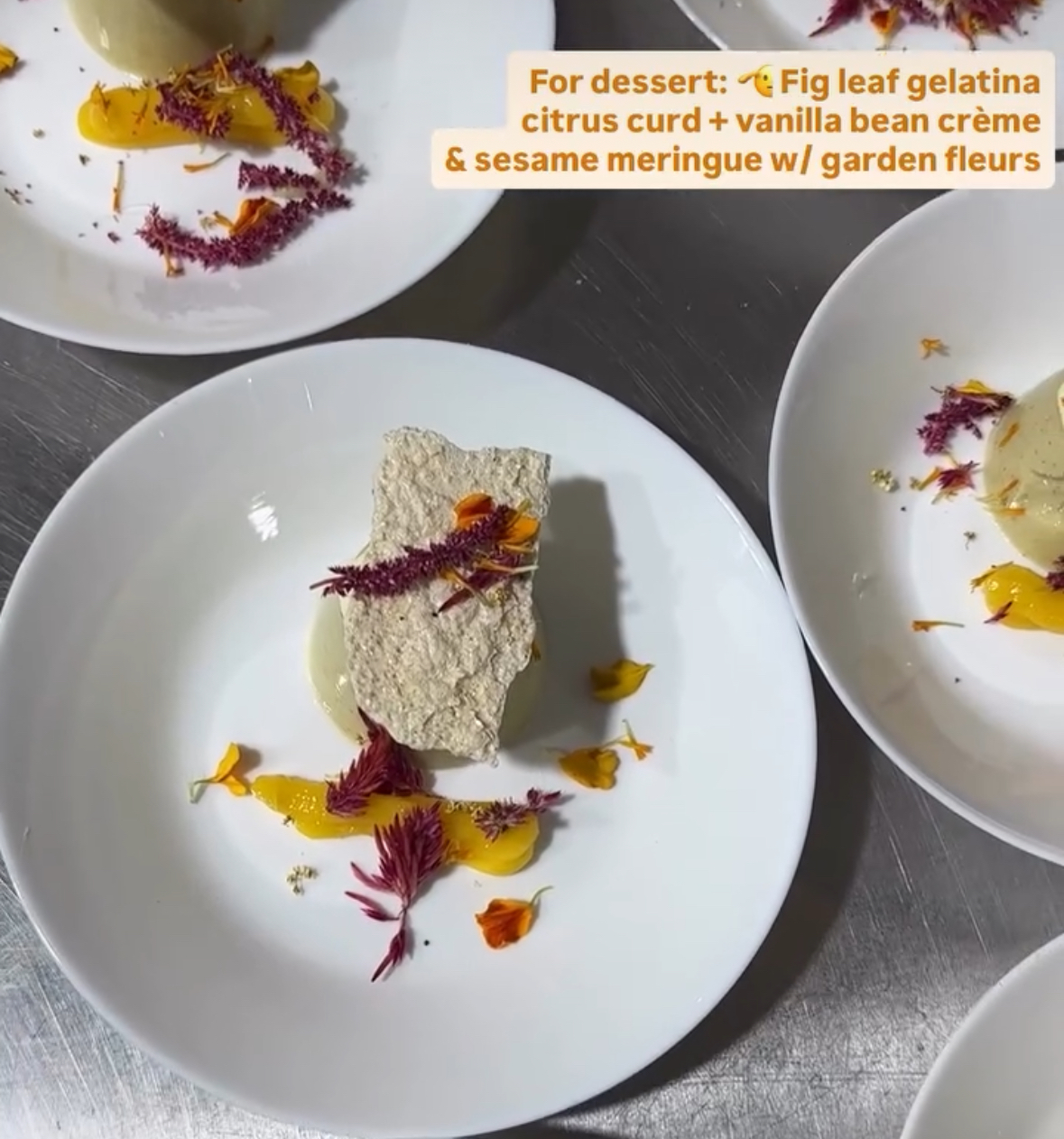 We’re deeply appreciative of the chefs who contributed to this night. Their care for their craft—and for the people in their industry—was felt in every plate they prepared. With gratitude to: Terry Koval & Alan Byers • Jard Warwick • Arturo Justo • Sahar Siddiqi • Andy Gonzales • Brian So • Molli Voraotsady • Mike Sheats • John-Carter A. • Marciela Vega • Duane Kuelers • Bradley Rouse • Hudson Rouse